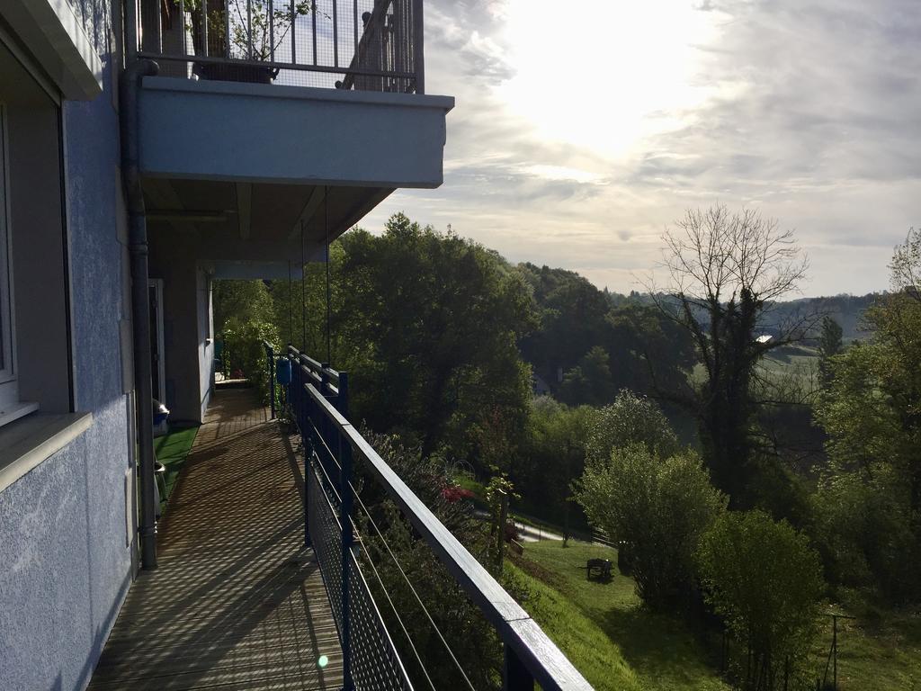 Les Gites De La Maison Bleue D'Estialescq Εξωτερικό φωτογραφία